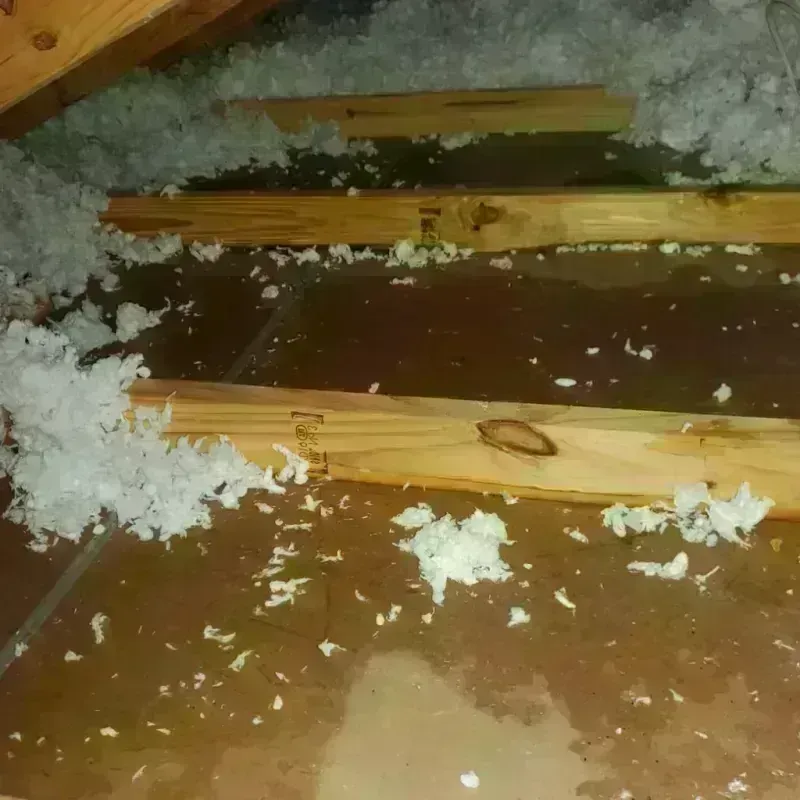 Attic Water Damage in Dormont, PA