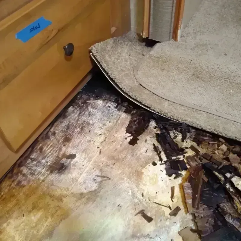 Best Wood Floor Water Damage Service in Dormont, PA